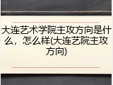 大连艺术学院主攻方向是什么，怎么样(大连艺院主攻方向)