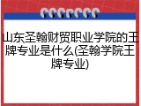 山东圣翰财贸职业学院的王牌专业是什么(圣翰学院王牌专业)