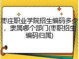 枣庄职业学院招生编码多少，隶属哪个部门(枣职招生编码归属)
