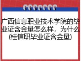 广西信息职业技术学院的毕业证含金量怎么样，为什么(桂信职毕业证含金量)