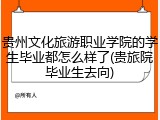 贵州文化旅游职业学院的学生毕业都怎么样了(贵旅院毕业生去向)