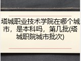 塔城职业技术学院在哪个城市，是本科吗，第几批(塔城职院城市批次)