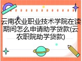 云南农业职业技术学院在读期间怎么申请助学贷款(云农职院助学贷款)