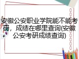 安徽公安职业学院能不能考研，成绩在哪里查询(安徽公安考研成绩查询)