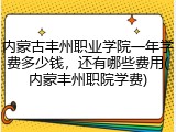 内蒙古丰州职业学院一年学费多少钱，还有哪些费用(内蒙丰州职院学费)