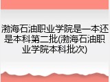渤海石油职业学院是一本还是本科第二批(渤海石油职业学院本科批次)