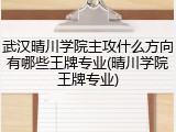 武汉晴川学院主攻什么方向有哪些王牌专业(晴川学院王牌专业)