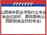 山西青年职业学院什么专业就业比较好，原因是啥(山西职院就业好的专业)