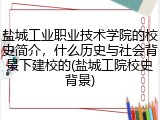 盐城工业职业技术学院的校史简介，什么历史与社会背景下建校的(盐城工院校史背景)