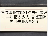 淄博职业学院什么专业最好，一年招多少人(淄博职院热门专业及招生)