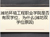 潍坊环境工程职业学院是否有双学位，为什么(潍坊双学位原因)