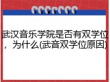 武汉音乐学院是否有双学位，为什么(武音双学位原因)