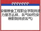 安徽粮食工程职业学院师资力量怎么样，名气如何(安粮职院师资名气)