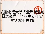 安徽财经大学毕业后就业前景怎么样，毕业生去向(安财大就业去向)