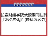 长春财经学院就读期间挂科了怎么办呢？(挂科怎么办)