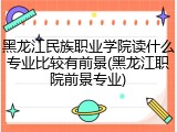黑龙江民族职业学院读什么专业比较有前景(黑龙江职院前景专业)