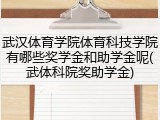 武汉体育学院体育科技学院有哪些奖学金和助学金呢(武体科院奖助学金)