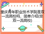 重庆青年职业技术学院是双一流高校吗，简单介绍(非双一流高校)