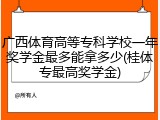 广西体育高等专科学校一年奖学金最多能拿多少(桂体专最高奖学金)