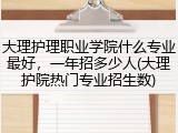 大理护理职业学院什么专业最好，一年招多少人(大理护院热门专业招生数)