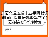云南交通运输职业学院就读期间可以申请哪些奖学金(云交院奖学金种类)