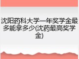 沈阳药科大学一年奖学金最多能拿多少(沈药最高奖学金)