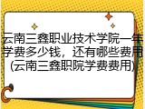 云南三鑫职业技术学院一年学费多少钱，还有哪些费用(云南三鑫职院学费费用)