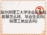 哈尔滨理工大学毕业后就业前景怎么样，毕业生去向(哈理工就业去向)