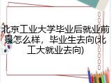 北京工业大学毕业后就业前景怎么样，毕业生去向(北工大就业去向)