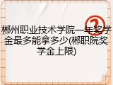 郴州职业技术学院一年奖学金最多能拿多少(郴职院奖学金上限)