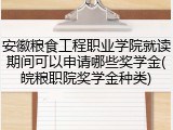 安徽粮食工程职业学院就读期间可以申请哪些奖学金(皖粮职院奖学金种类)