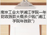 南京工业大学浦江学院一年财政拨款大概多少钱("浦江学院年拨款")