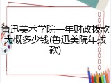 鲁迅美术学院一年财政拨款大概多少钱(鲁迅美院年拨款)