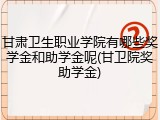甘肃卫生职业学院有哪些奖学金和助学金呢(甘卫院奖助学金)