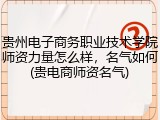 贵州电子商务职业技术学院师资力量怎么样，名气如何(贵电商师资名气)