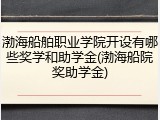 渤海船舶职业学院开设有哪些奖学和助学金(渤海船院奖助学金)