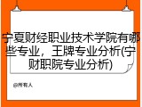 宁夏财经职业技术学院有哪些专业，王牌专业分析(宁财职院专业分析)
