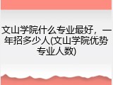 文山学院什么专业最好，一年招多少人(文山学院优势专业人数)