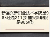 新疆兴新职业技术学院是985还是211(新疆兴新职院是985吗)