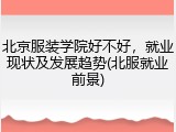 北京服装学院好不好，就业现状及发展趋势(北服就业前景)