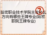 哈密职业技术学院主攻什么方向有哪些王牌专业(哈密职院王牌专业)
