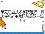 莱芜职业技术学院是双一流大学吗?(莱芜职院是双一流吗)
