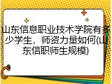 山东信息职业技术学院有多少学生，师资力量如何(山东信职师生规模)
