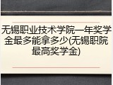 无锡职业技术学院一年奖学金最多能拿多少(无锡职院最高奖学金)