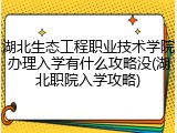 湖北生态工程职业技术学院办理入学有什么攻略没(湖北职院入学攻略)