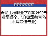 青岛工程职业学院最好的专业是哪个，详细阐述(青岛职院最佳专业)