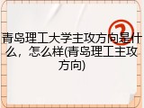 青岛理工大学主攻方向是什么，怎么样(青岛理工主攻方向)