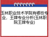 玉林职业技术学院有哪些专业，王牌专业分析(玉林职院王牌专业)
