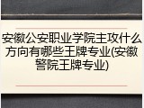安徽公安职业学院主攻什么方向有哪些王牌专业(安徽警院王牌专业)
