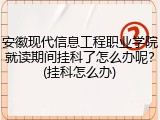 安徽现代信息工程职业学院就读期间挂科了怎么办呢？(挂科怎么办)